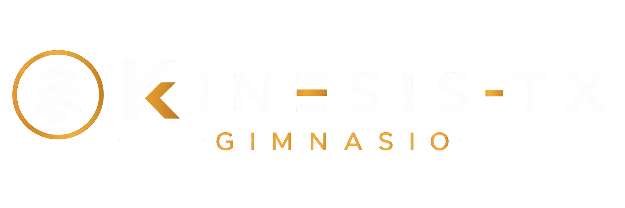 Kinesis-TX Gym
